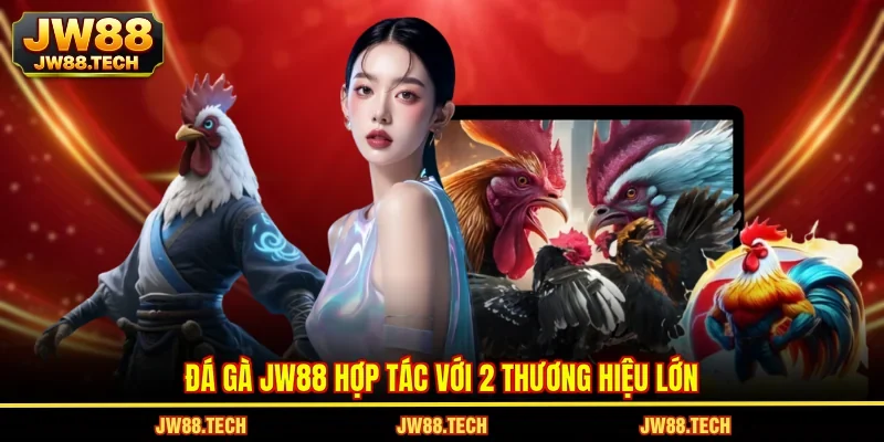 Đá gà JW88 hợp tác với 2 thương hiệu lớn